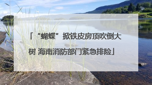 “蝴蝶”掀铁皮房顶吹倒大树 海南消防部门紧急排险